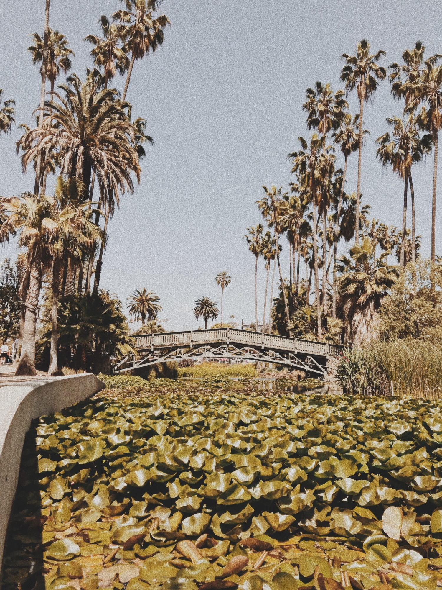 Josiah B. Speaking at the Windsor Club, Glendale, CA, 11/6/2006