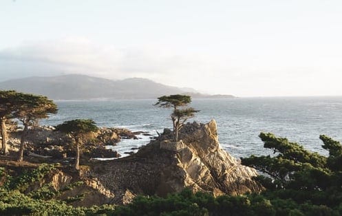 Sandy B. speaking in Monterey, CA on March 6th, 1982