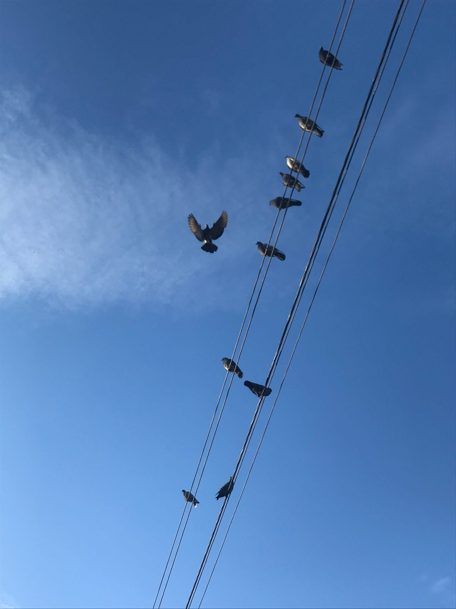 John ‘The Indian’ V. from S. Berlin, MA -Intergroup Meeting – Oklahoma City, OK – 9/18/1983