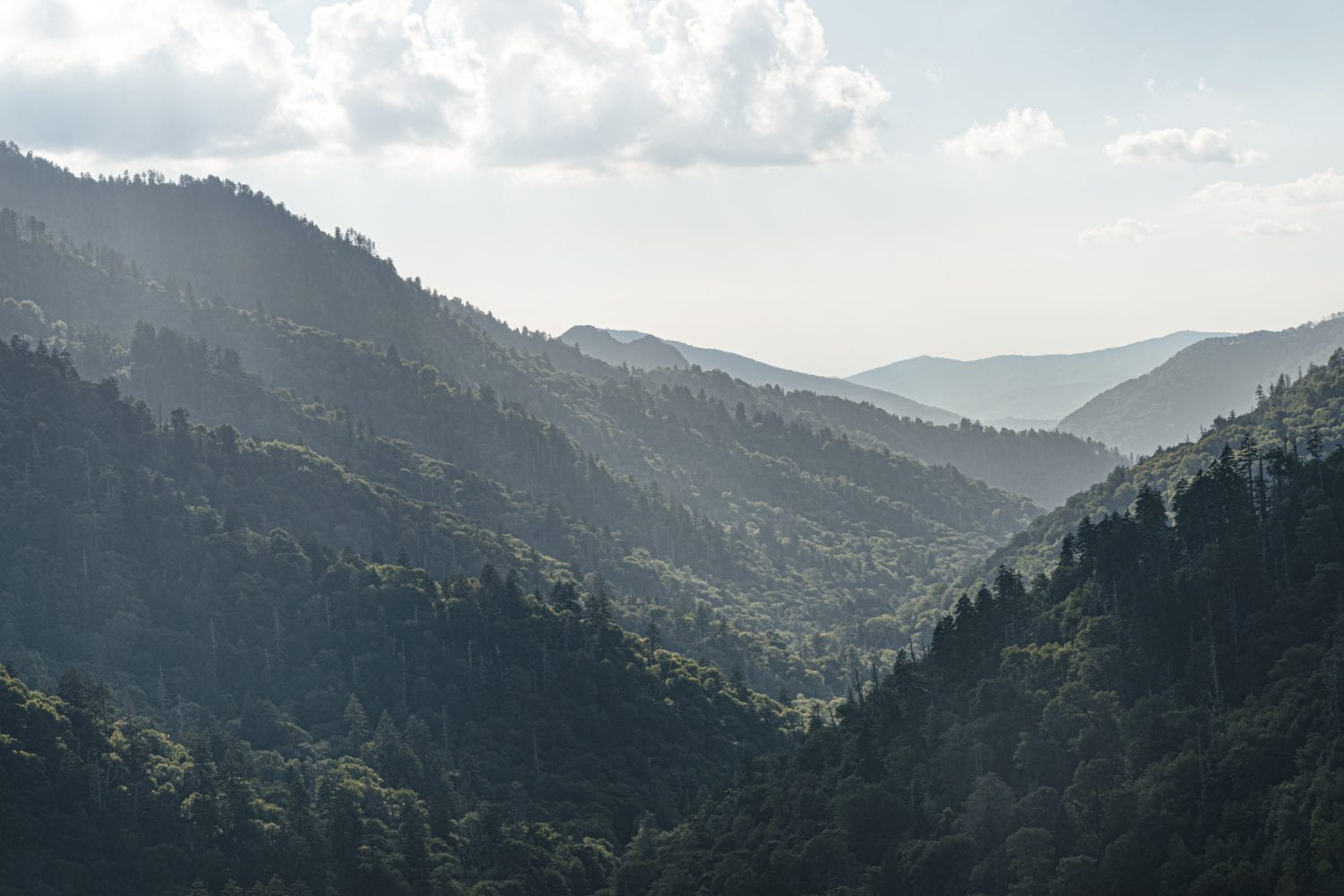 Barbara P. (AFG) from Maysville, AR -Northfield, MN  8/13/1983