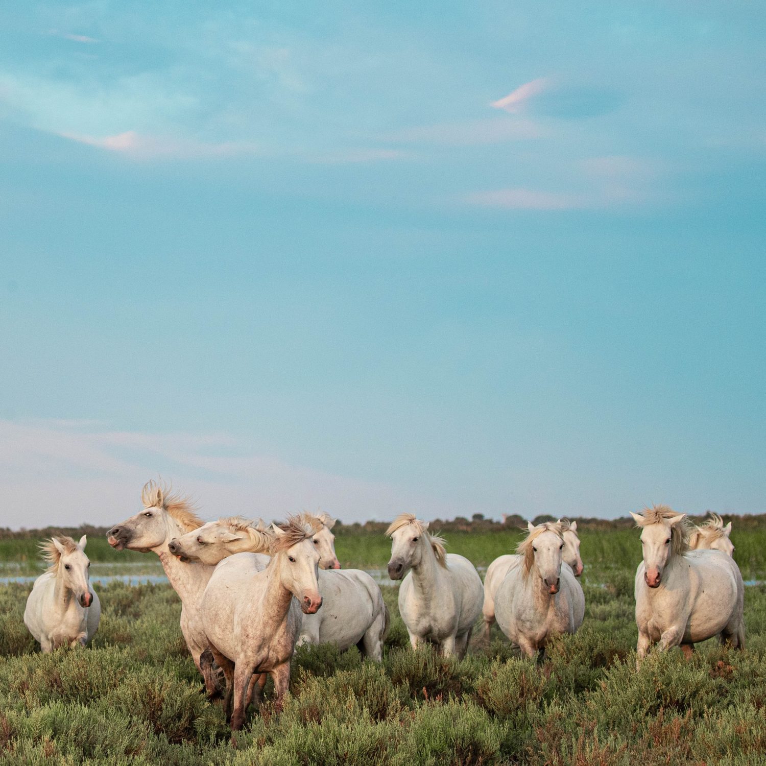 Various Speakers -Approved Literature and Grapevine -Sioux Falls Conference -Sioux Falls, SD 3/5/1988