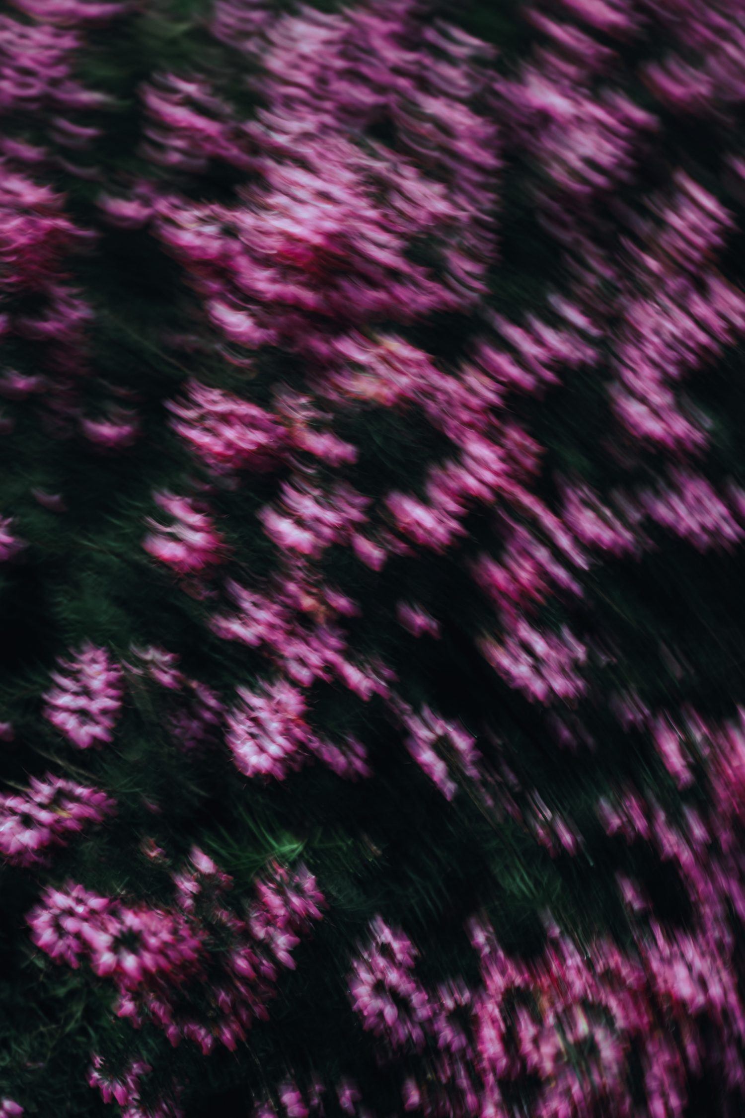 Bert S. and Tom B. Interview -A Message for Anyone in AA a Short Time -3/7/54