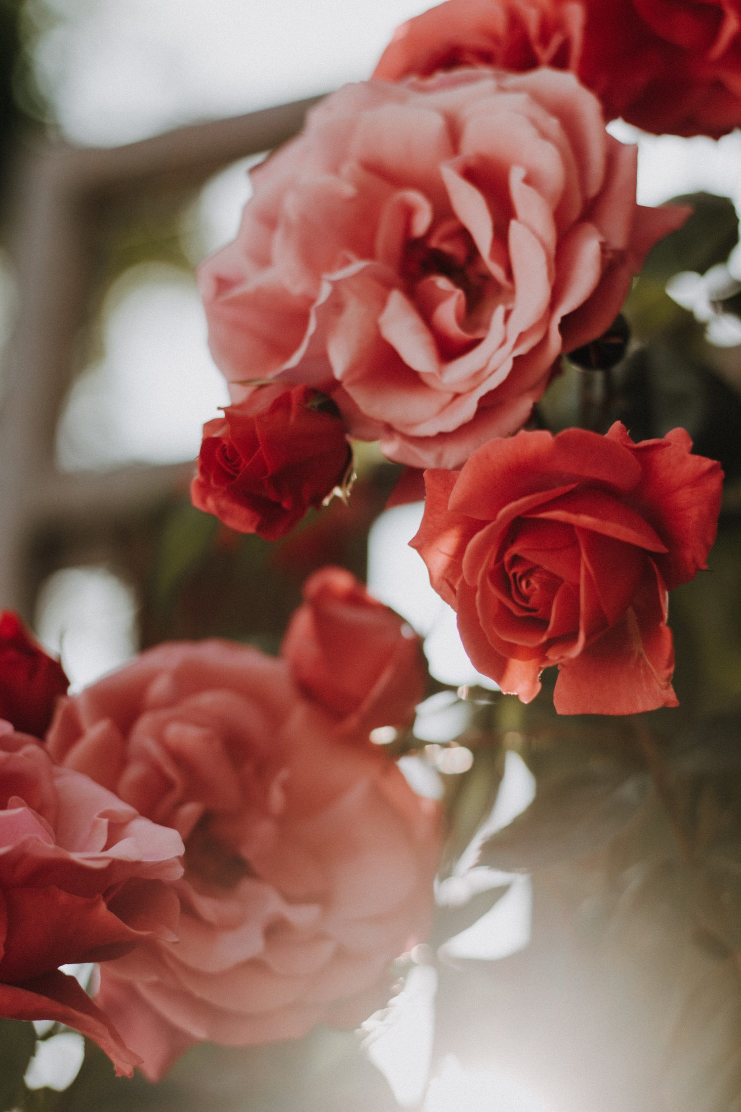 Helen W. of Baltimore at Long Beach -7/1/1960 -Midnite