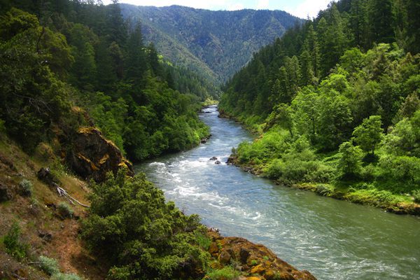 Lila R. from Santa Monica, CA;  – Summerfest – Eugene, OR – 7/19/2013