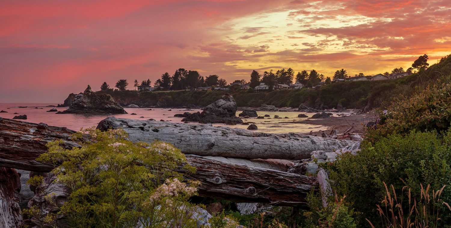 Pearl H. (AFG) from Canaby, OR – South Coast Roundup – Brooking, OR – 7/26/2013