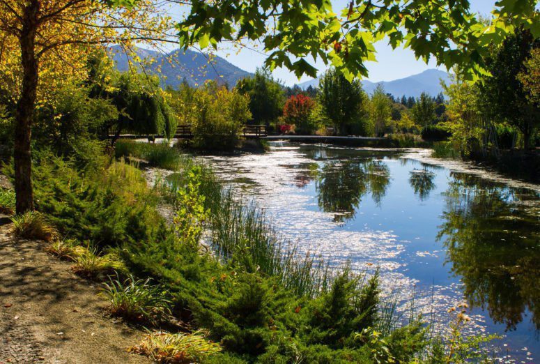 Lori G. (AFG) from Oklahoma City, OK – Rogue Roundup – Grants Pass, OR – 5/2/2013