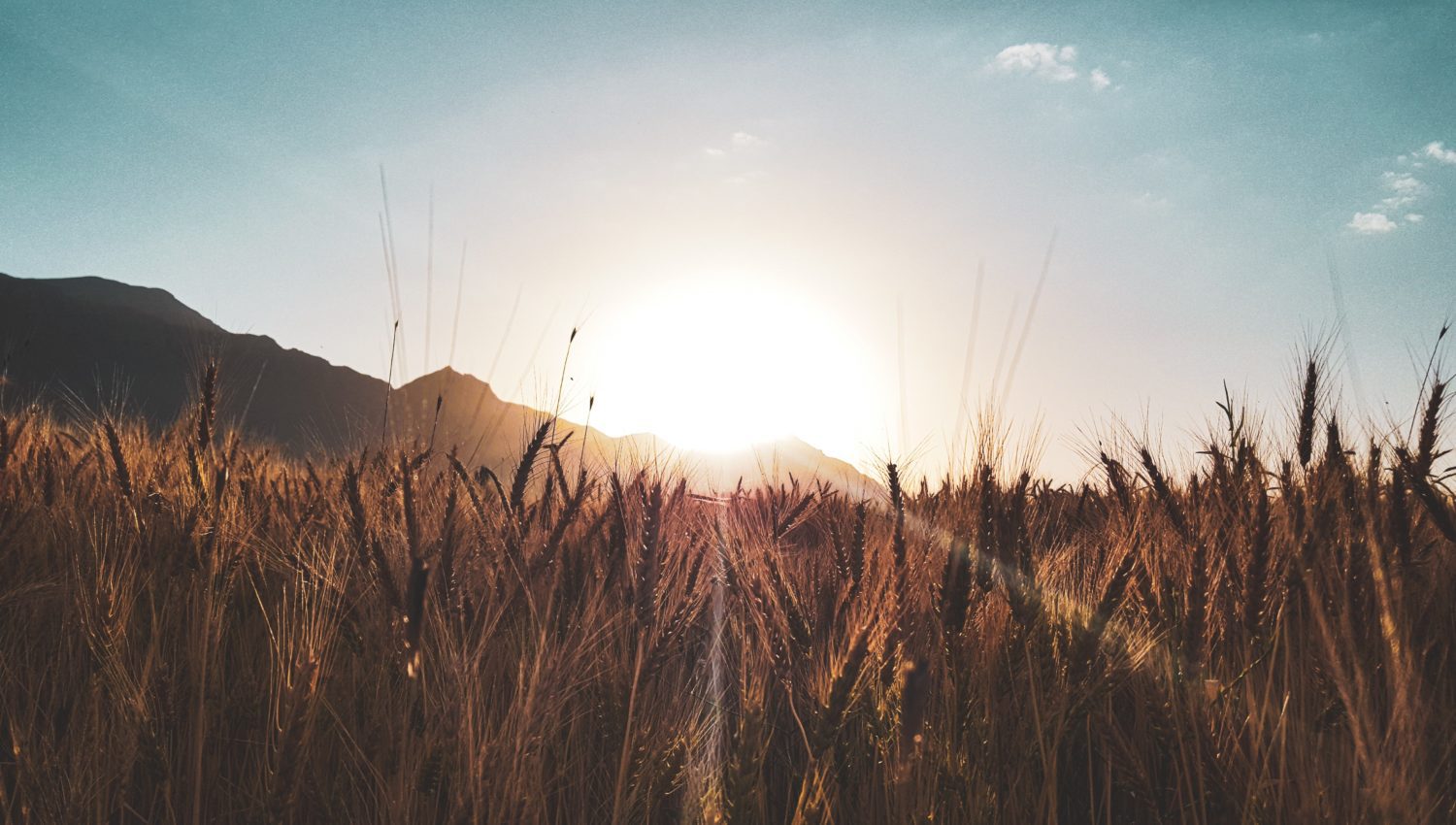 Bonnie L at Paducah, KY