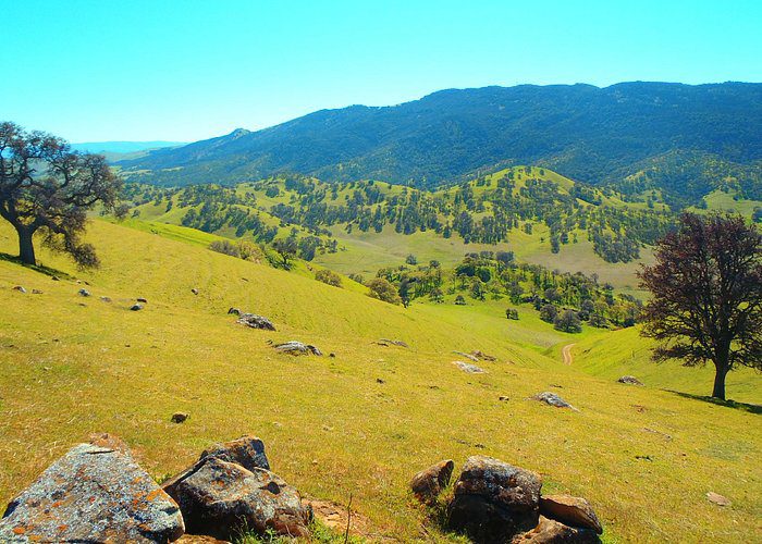 Clancy I. from Venice, CA – Pacific Group – Brentwood, CA – 5/25/1976