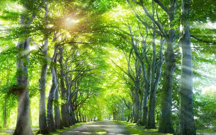 Paul K. – Four Absolutes as Spiritual Tools