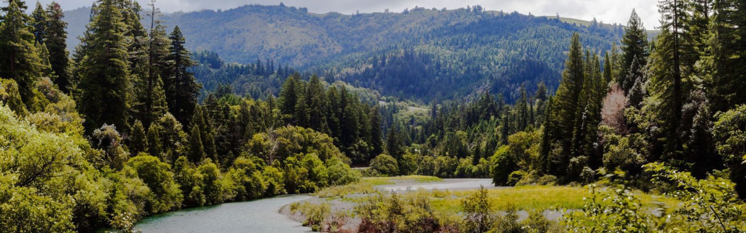 Thomas S. from Eureka, CA – Redwood Coast Roundup – Fortuna, CA – 8/30/2013