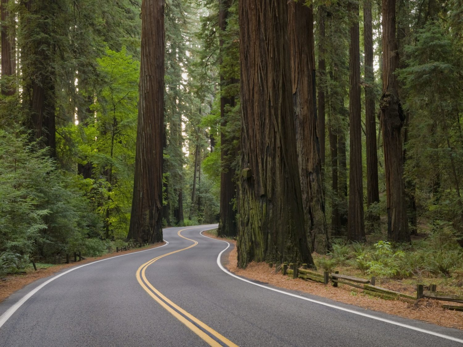 Jim H. from Tampa, FL. – N. California Hospital & Institution Conference – Chico, CA. – 4/17/2004