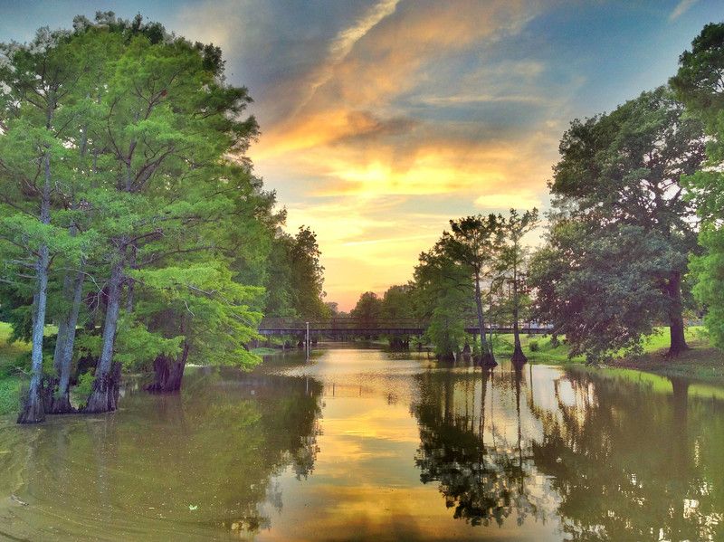 Cora Louise B. from Leland, MS – Durham, NC – 7/15/1966