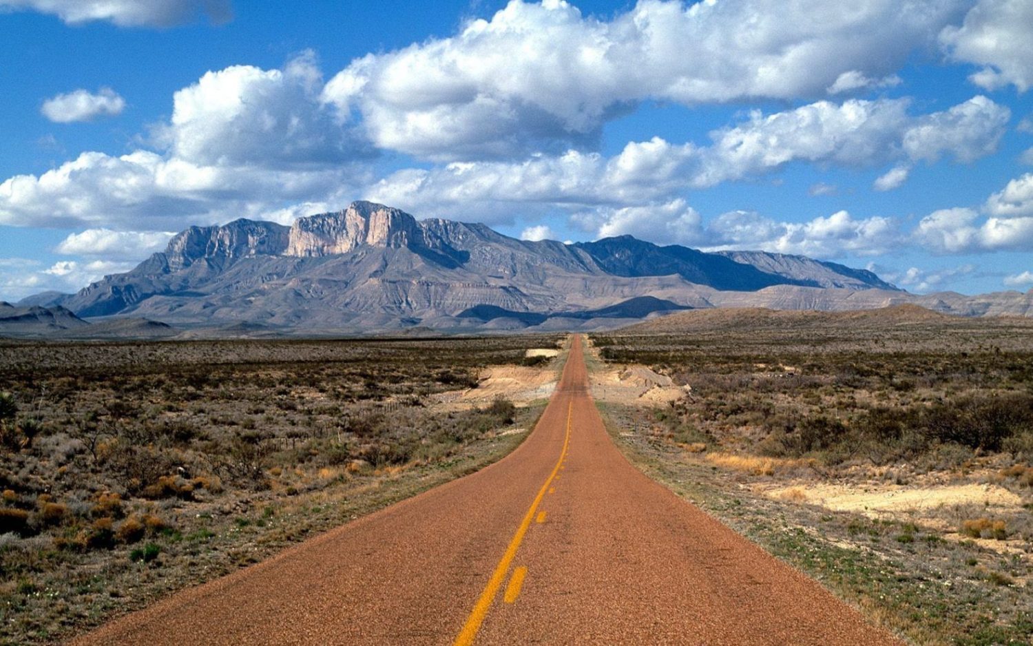 Scott R. From: Sherman Oaks, CA. at North Coast Roundup 4/5/2002 Seaside, OR.