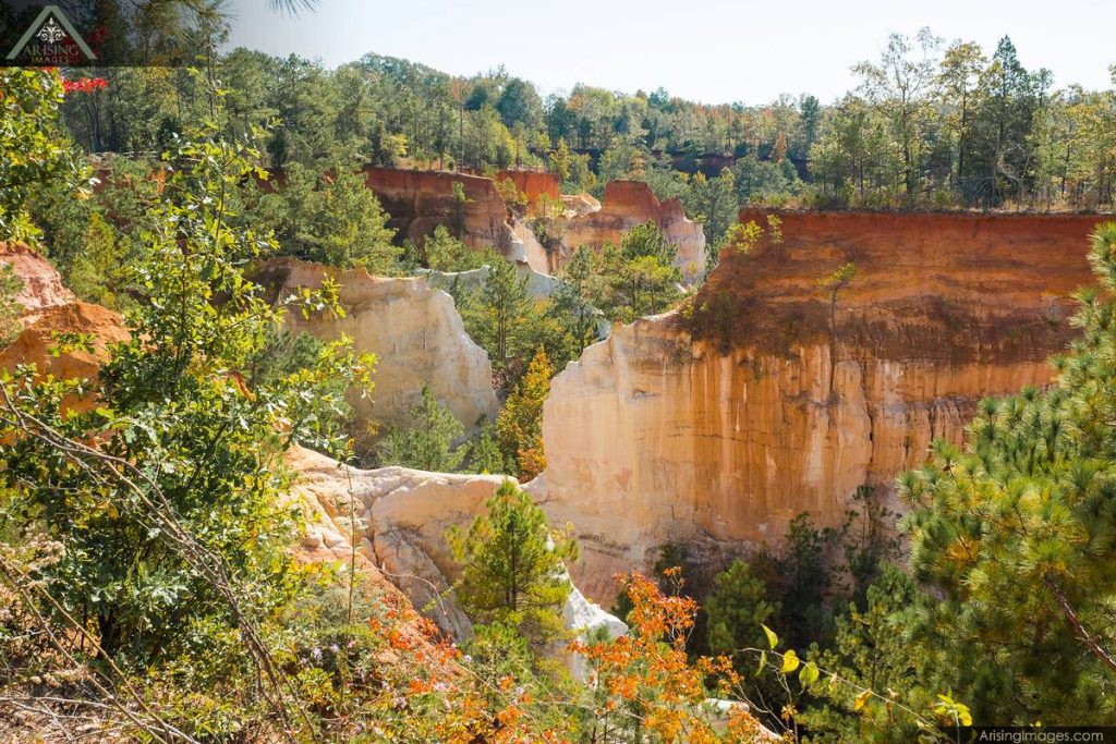 Chuck C. from Laguna Beach, CA – Southeast Conference – 1/15/1967