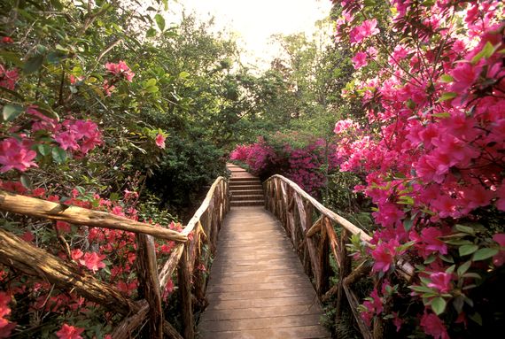 Marguerite C. from Houston, TX – Florida – 1/15/1972