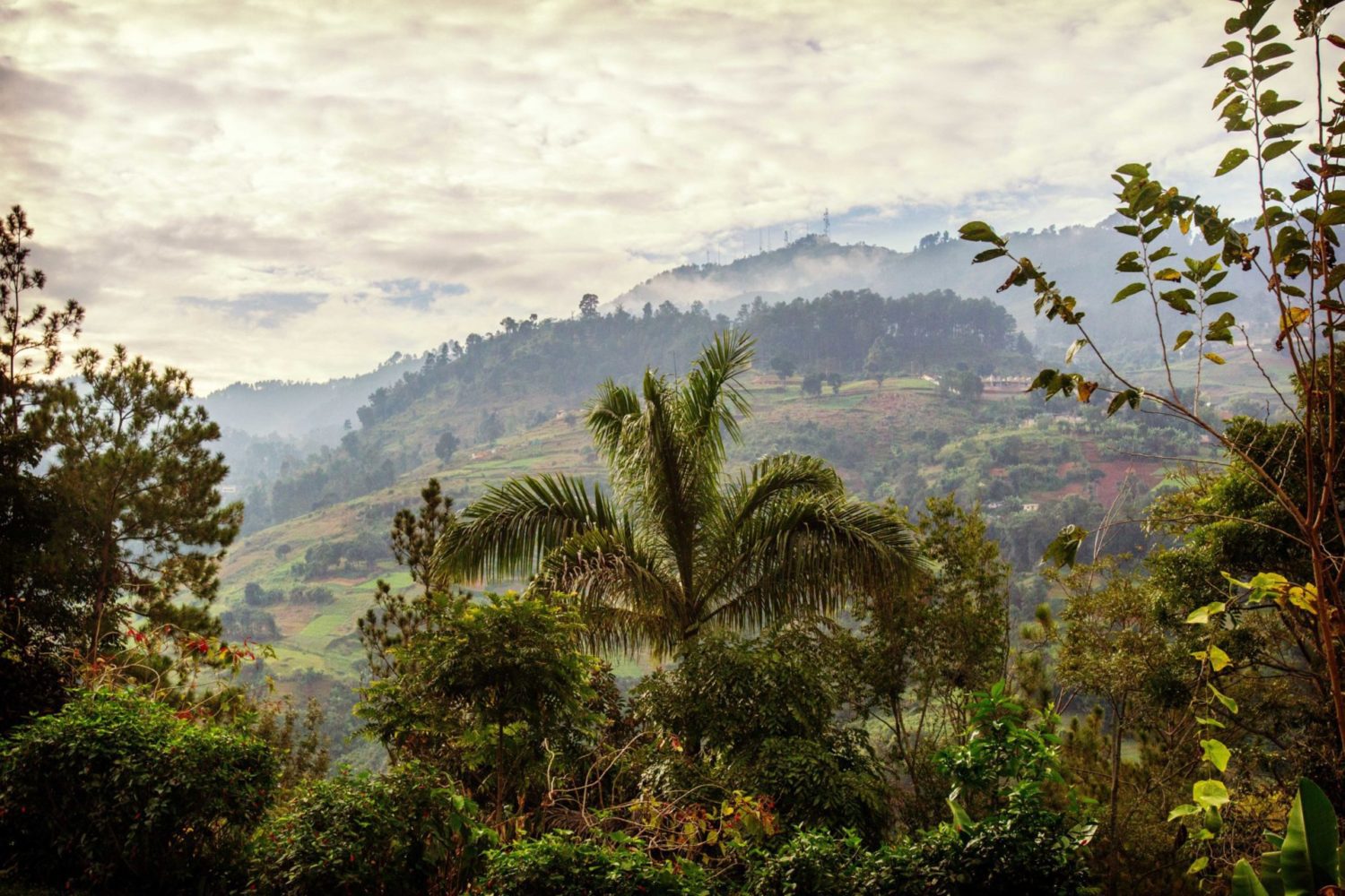 CD C. from Statesboro, GA – Cedarmore, KY – 6/6/1970