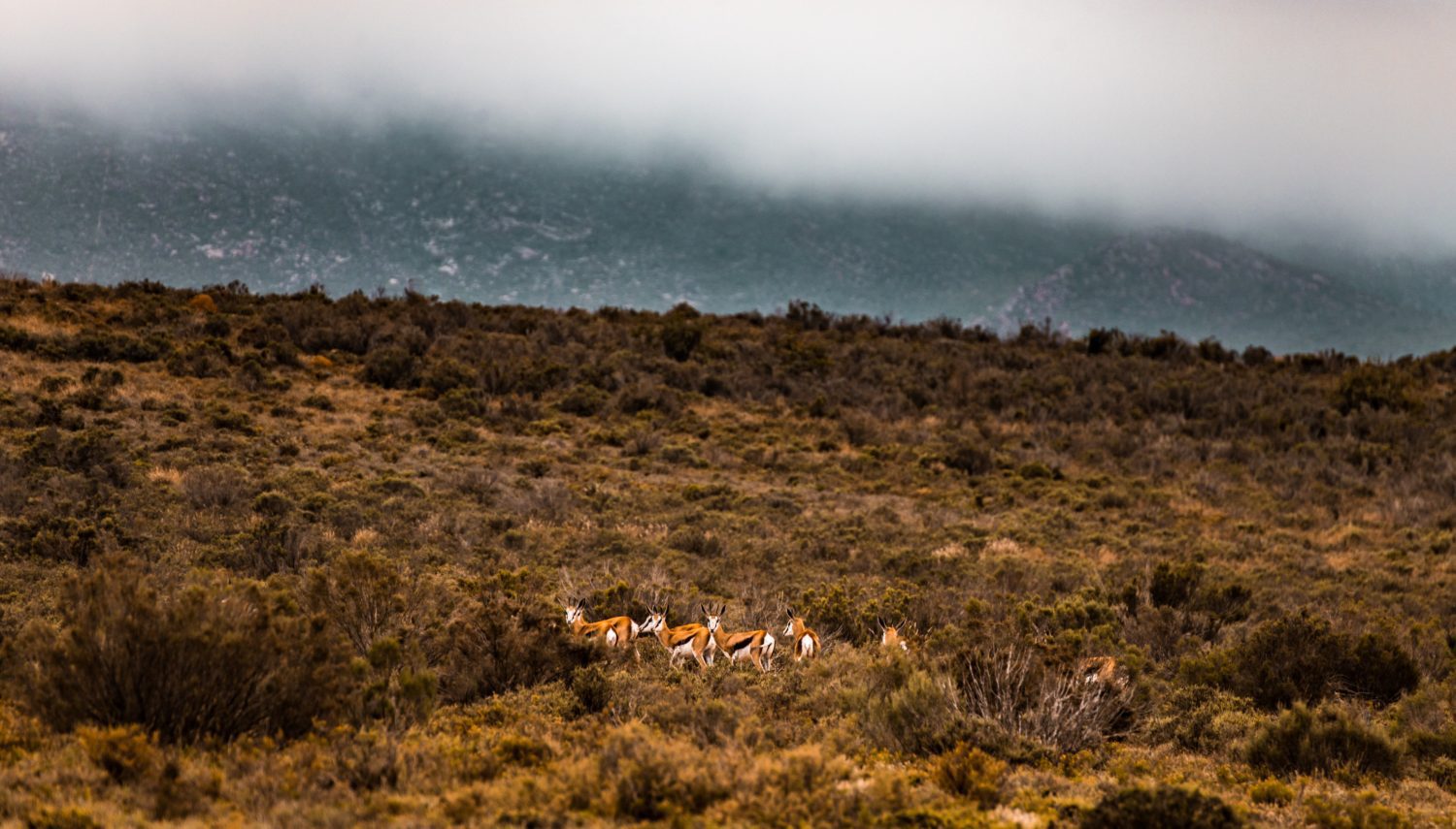 Bob B. from St. Paul, MN at Iron Range Get-Together – Grand Rapids, MN – 5/3/2005