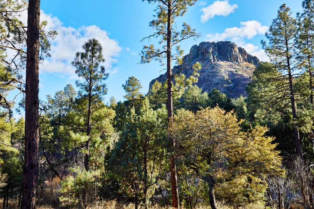 Sophia E. from Phoenix, AZ @ Shoestring Roundup – Prescott, AZ 7/14/2017