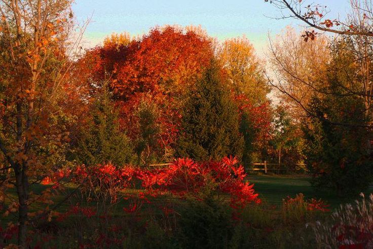 John K. from Dallas, TX @ Southern Minnesota Roundup – Mankato, MN 10/6-8/2017