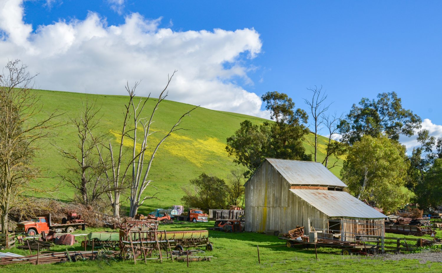 Gay G. from Decatur, GA – @ Singleness of Purpose – Ft. Myers,FL – 5/18-20/2001