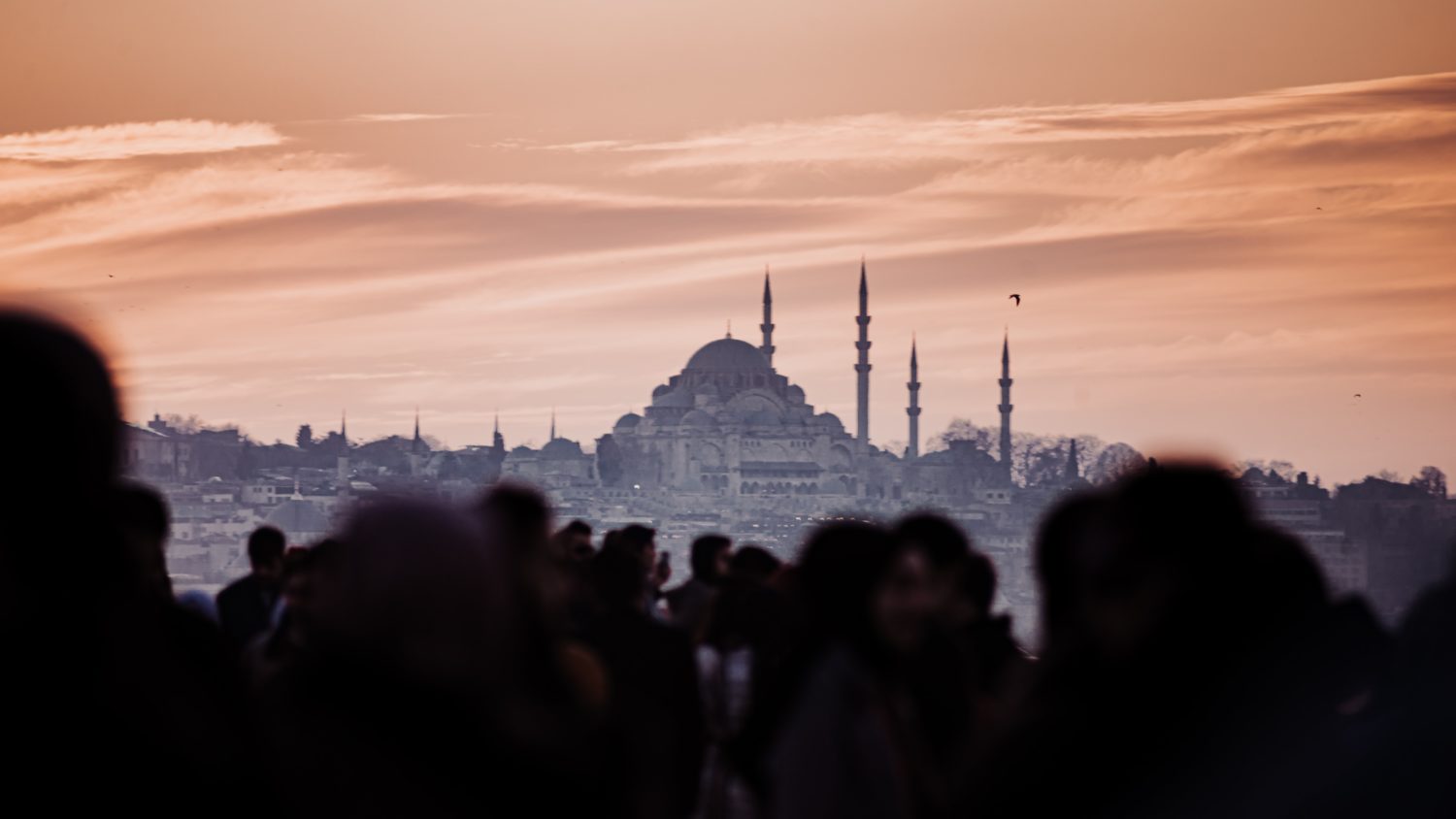 Nat H. from Camp Verde, AZ -Flagstaff Roundup – Flagstaff, AZ – 6/4/2005