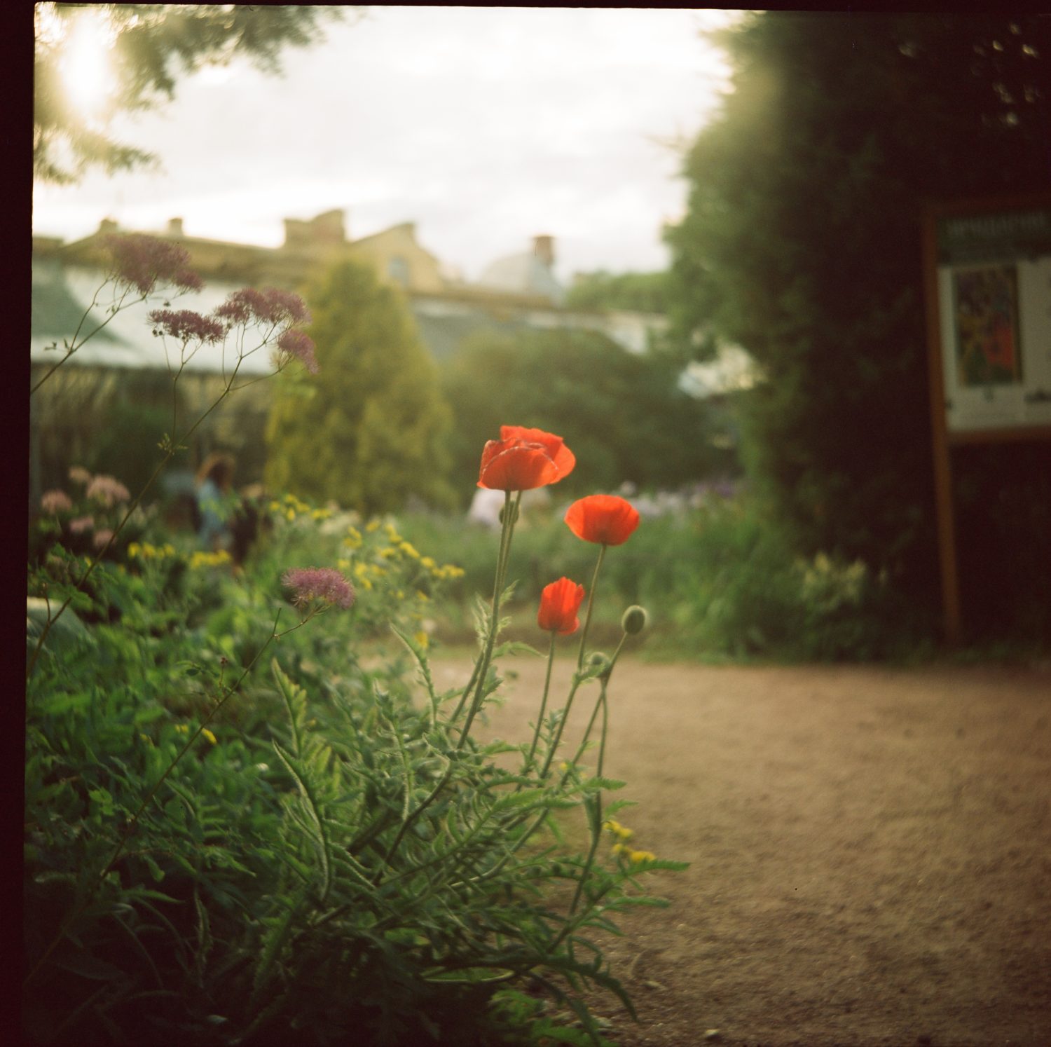 Bob B. from St. Paul, MN -Pockets of Enthusiasm 1996 Virginia Beach, VA