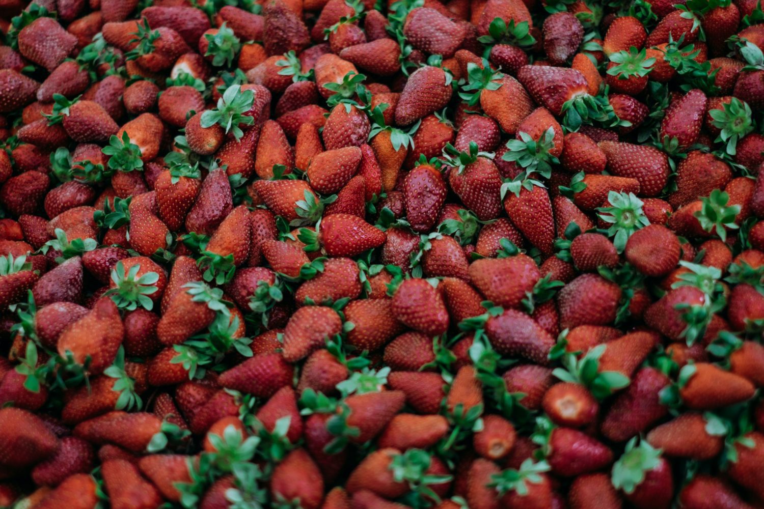 Vannoy S. (AFG) from Los Angeles, CA – We Are Not Saints Convention – 2002