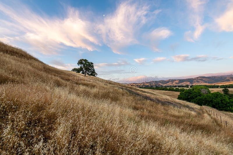 Chris S. @ Pacific Group @ Brentwood,CA 10/25/2017