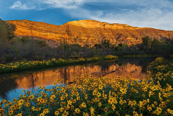 Linda B. from Phoenix, AZ @ Verde Valley Roundup – Cottonwood, AZ 4/7/2017