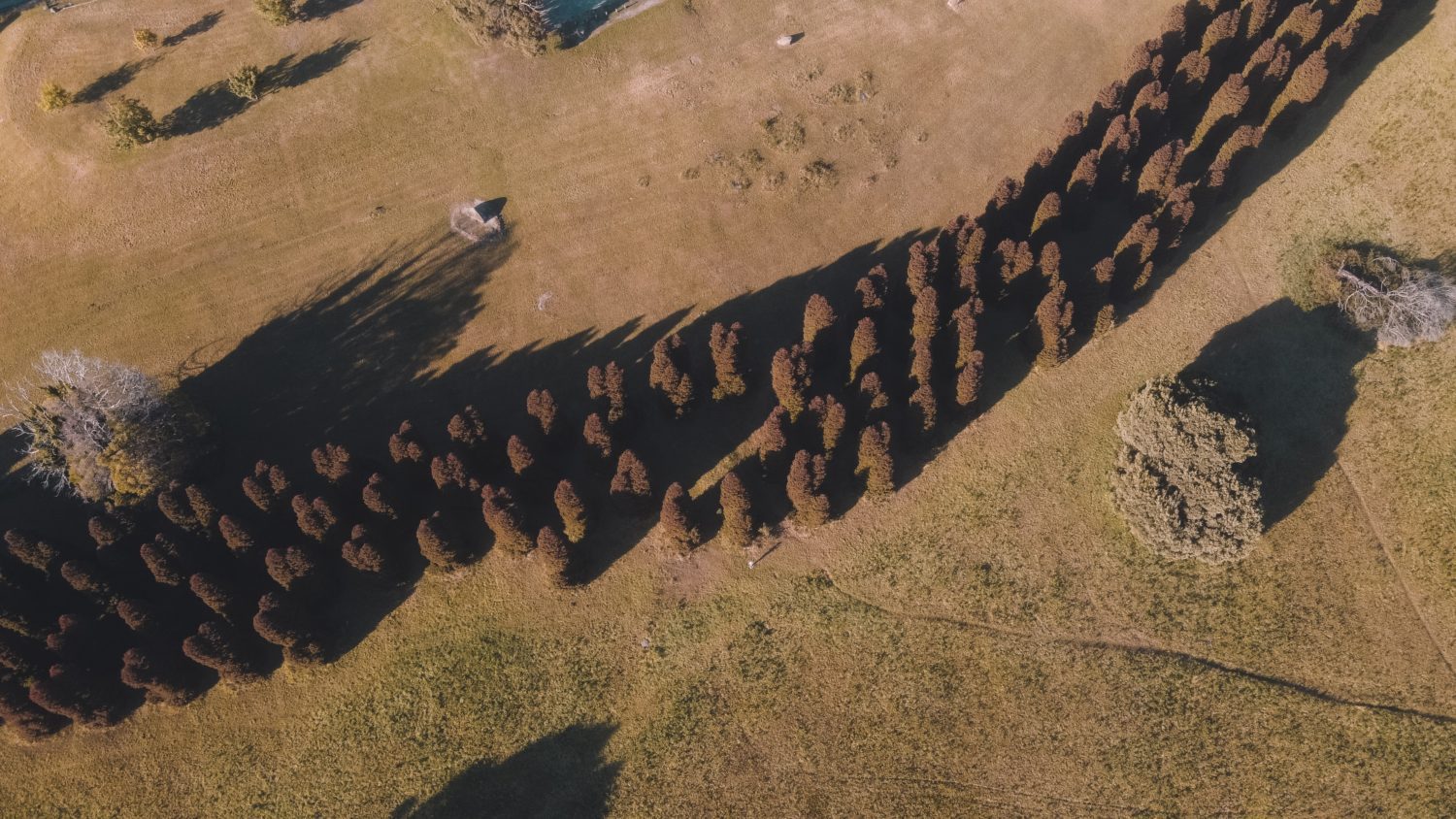 Multi Speakers – “God As I Understand Him” @ Bob White Hour – Whitney, TX – 10/23-25/1987