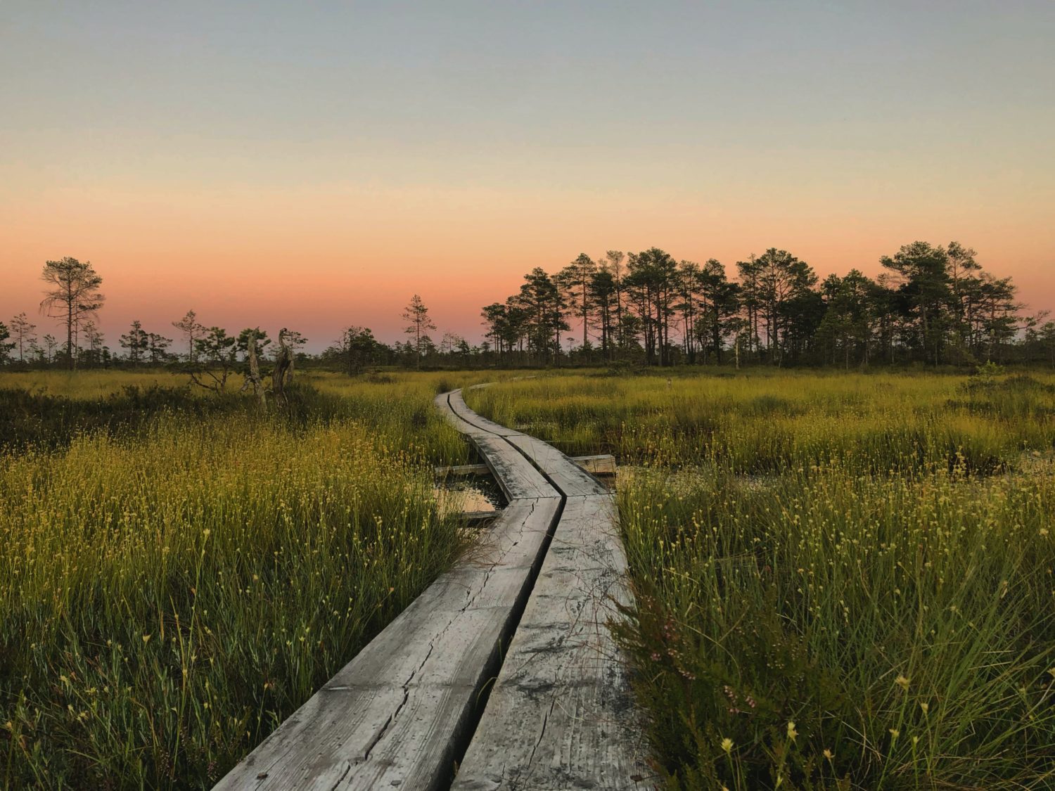 Jim W. from Ft. Worth, TX – Great Plains Roundup – Omaha, NE – 11/27/19873