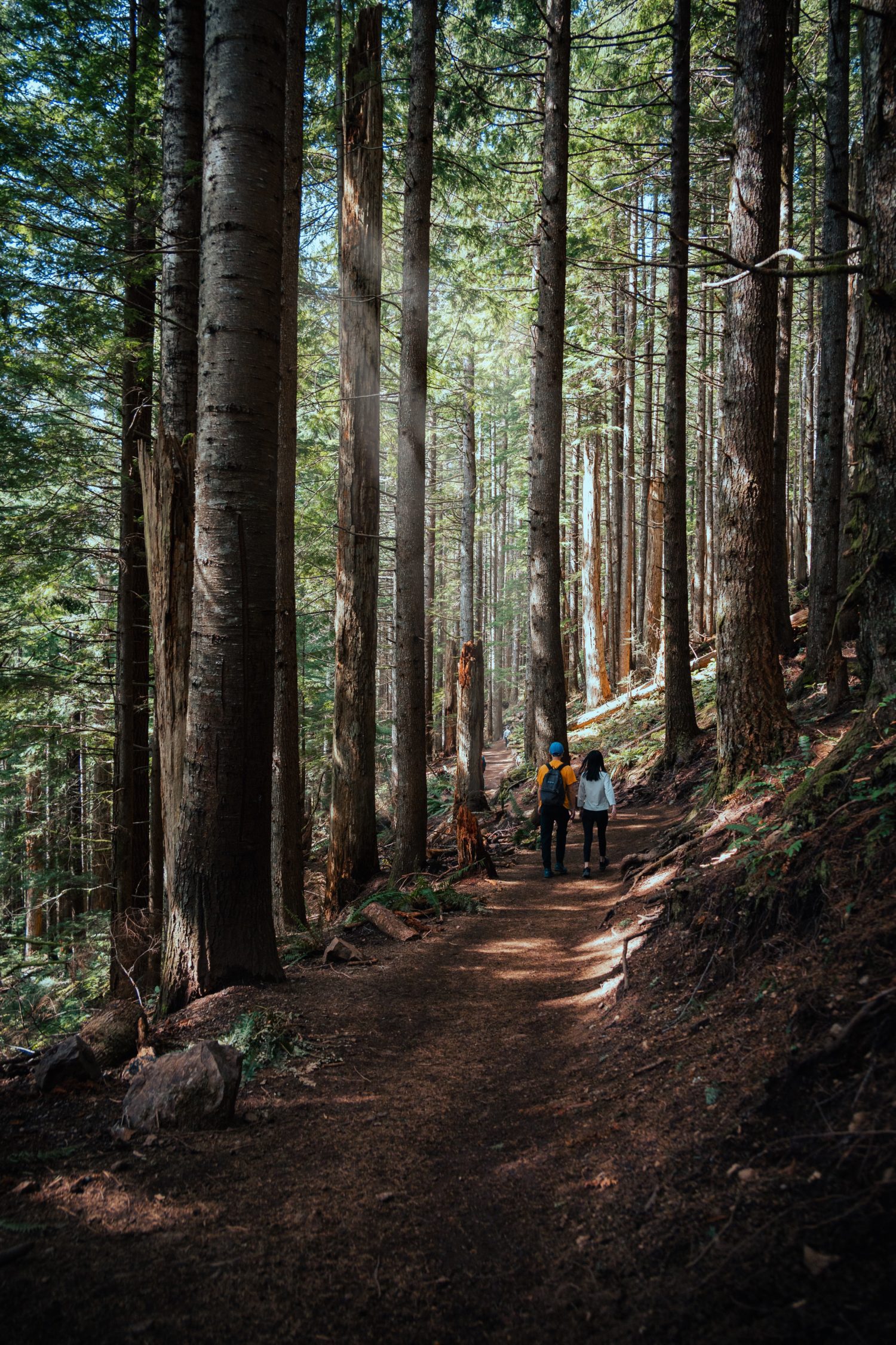 Tom B. from Wrightsville Beach, CA -Pockets of Enthusiasm 1996