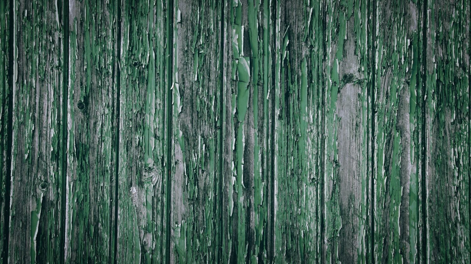 Bill G. from Bellevue, NE – First Saturday –  Billings, MT – 11/11/2001