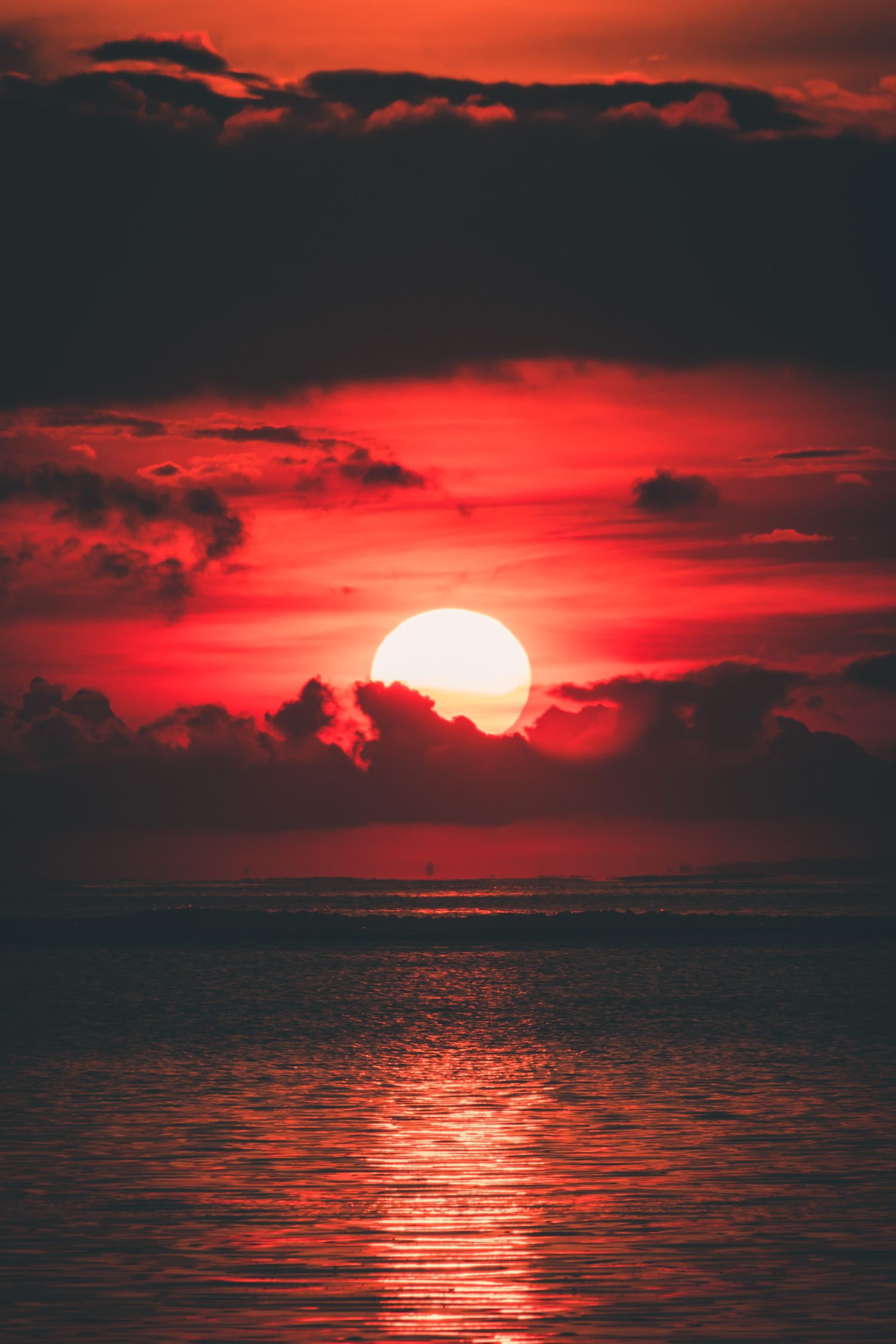 Lois W. (AFG) from Bedford Hills, NY -WSO – Part 1 – New York, NY – 6/25/1982