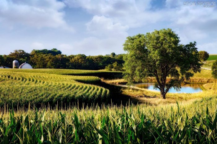 Clint H. from Woodland Hills, CA @ Cornhusker Roundup 2000