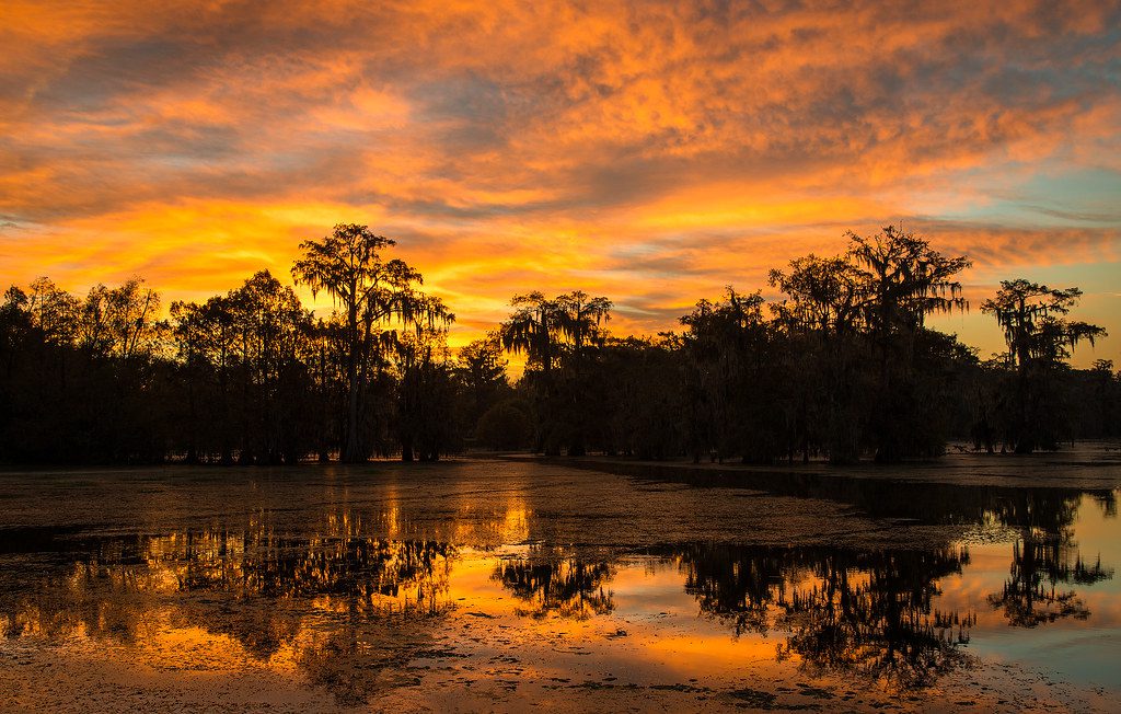 Clancy I. from Venice, CA @ 20th Bayouland Jamboree 2000