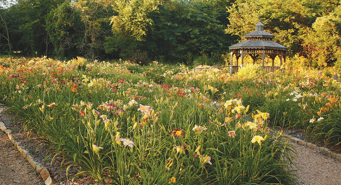 Mary Pearl T. (AFG) from N. Little Rock, AR – Heart of the Ozarks Roundup – Springfield, MO – 6/10/1993