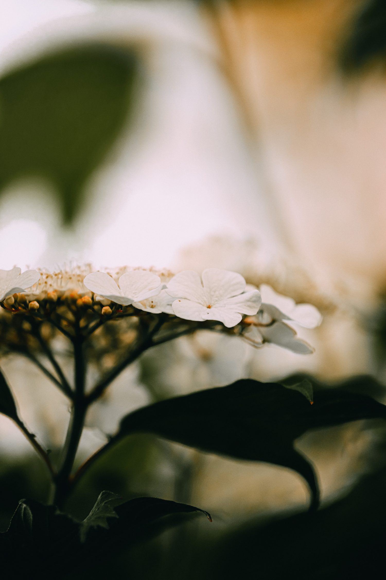 Peggy and Dick M., Bellevue, NE -Traditions of Relationships, Southern Hospitality Hoopla, Natchez, MS, 9/22/90