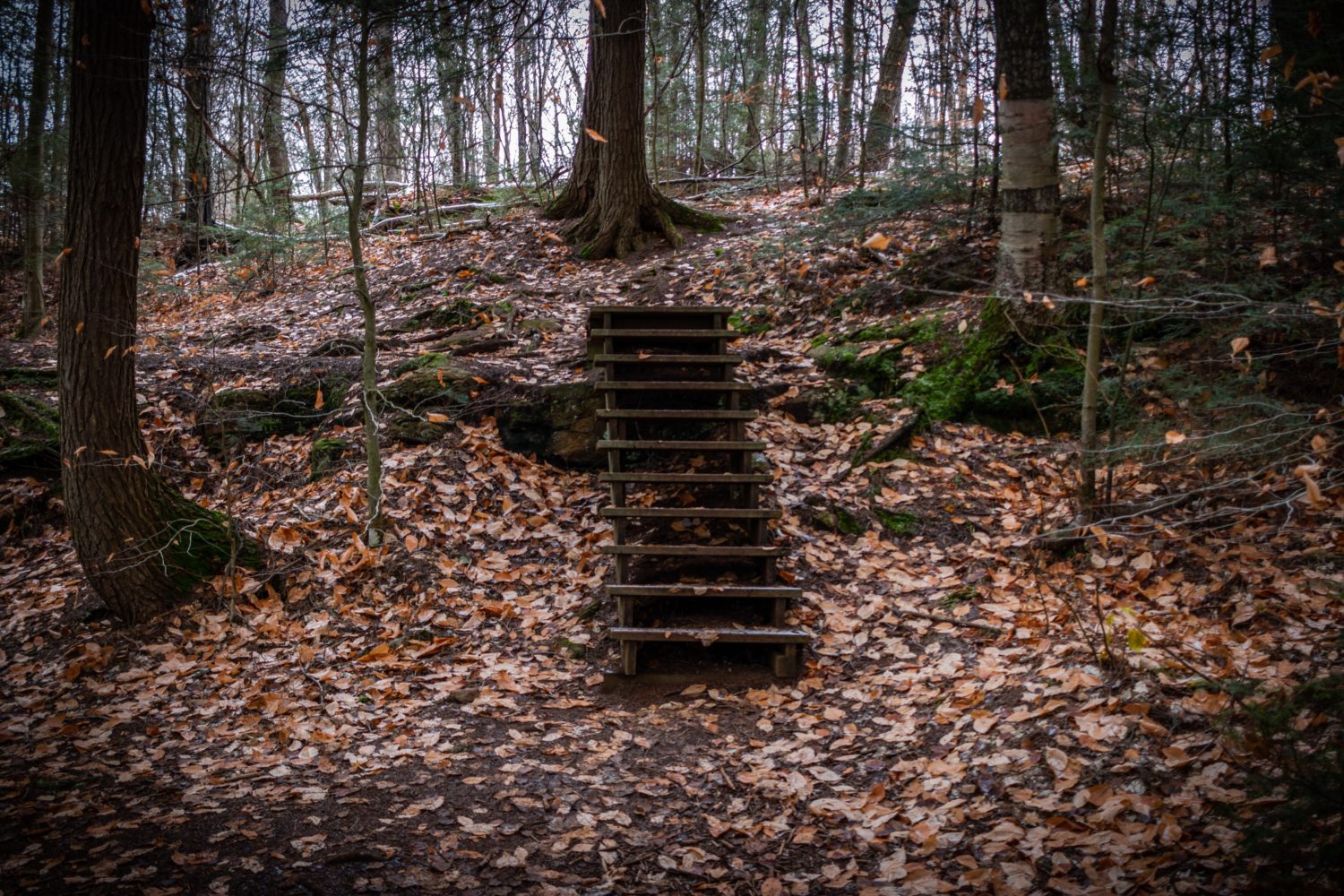 Turning Our Will over To God @ 9th AA International AA Convention – Seattle, WA 7/4/1990