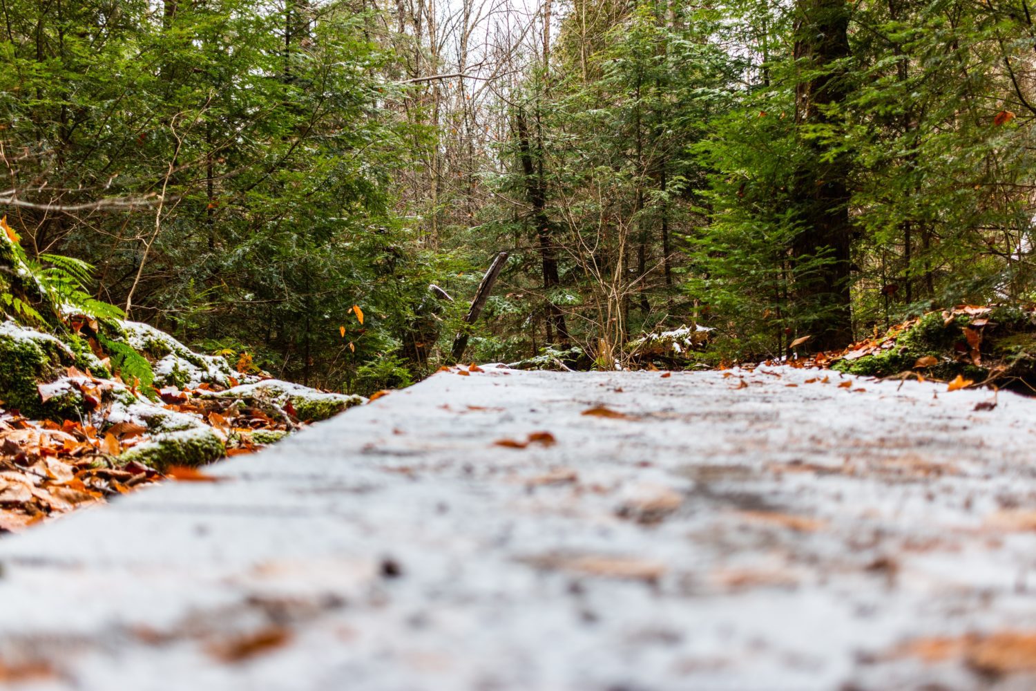 The Who I Never Knew: Willingness, Honesty, Openness @ 9th International AA Convention – Seattle, WA 7/4/1990