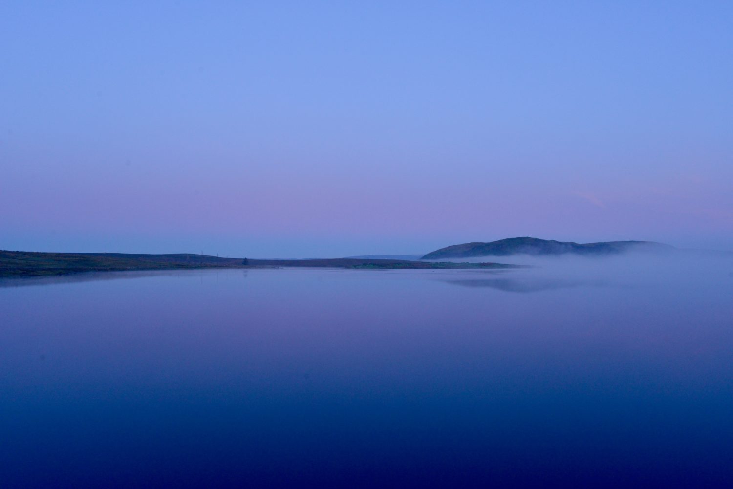 Mildred F. from Toronto, ON, Canada – Midwinter Roundup – Syracuse, NY. – 2/11/2000