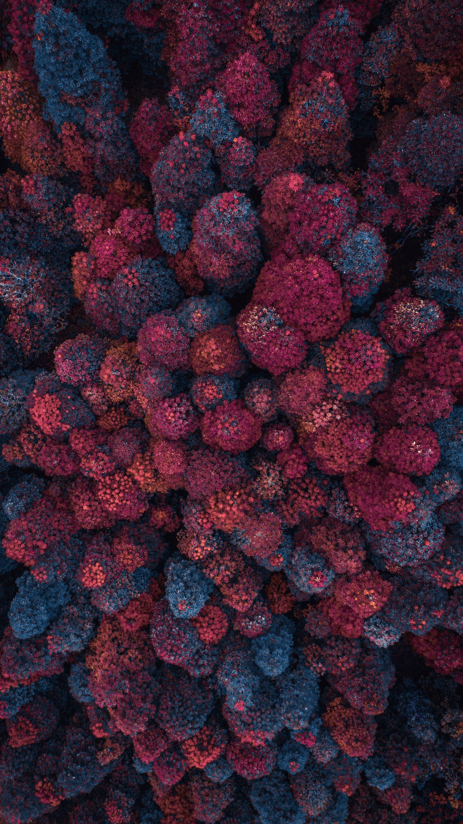 Frank M. from Orland Park, IL. – “Home Group” – Part 1 – Sponsorship Weekend – Boca Raton, FL. – 5/30/1997