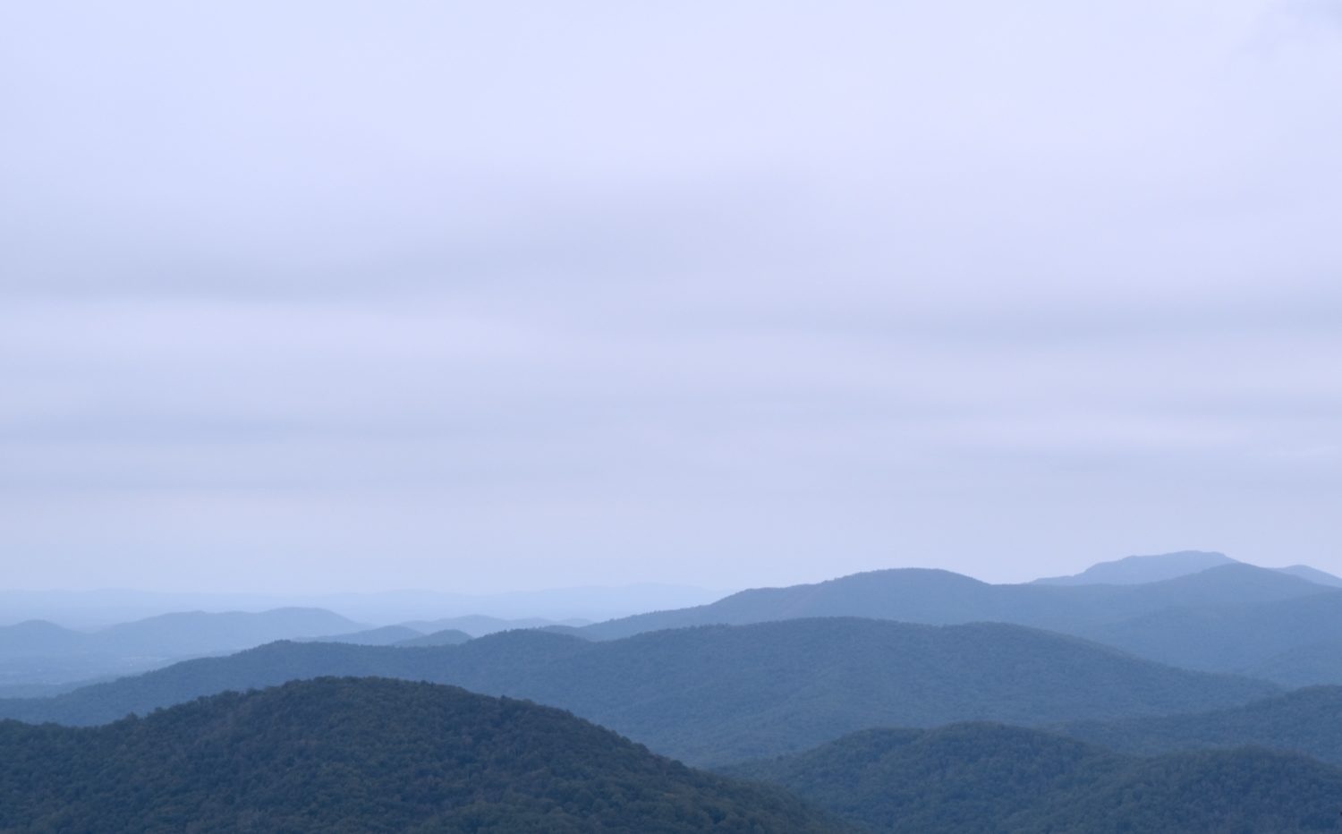 Tim T. from Cleveland, OH -Bellevue Anniversary 2012