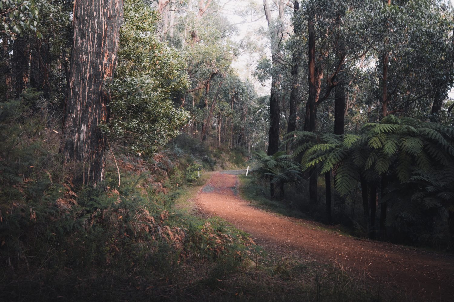 Opening Meeting & Flag Ceremony – International AA Convention – Seattle, WA – 7/4/1990