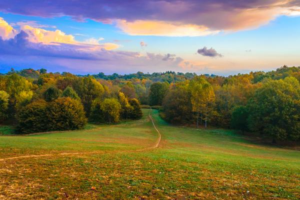 Doug R. from Tujunga, CA. – “Workshop” – Western Area of Missouri AA Convention – 2004