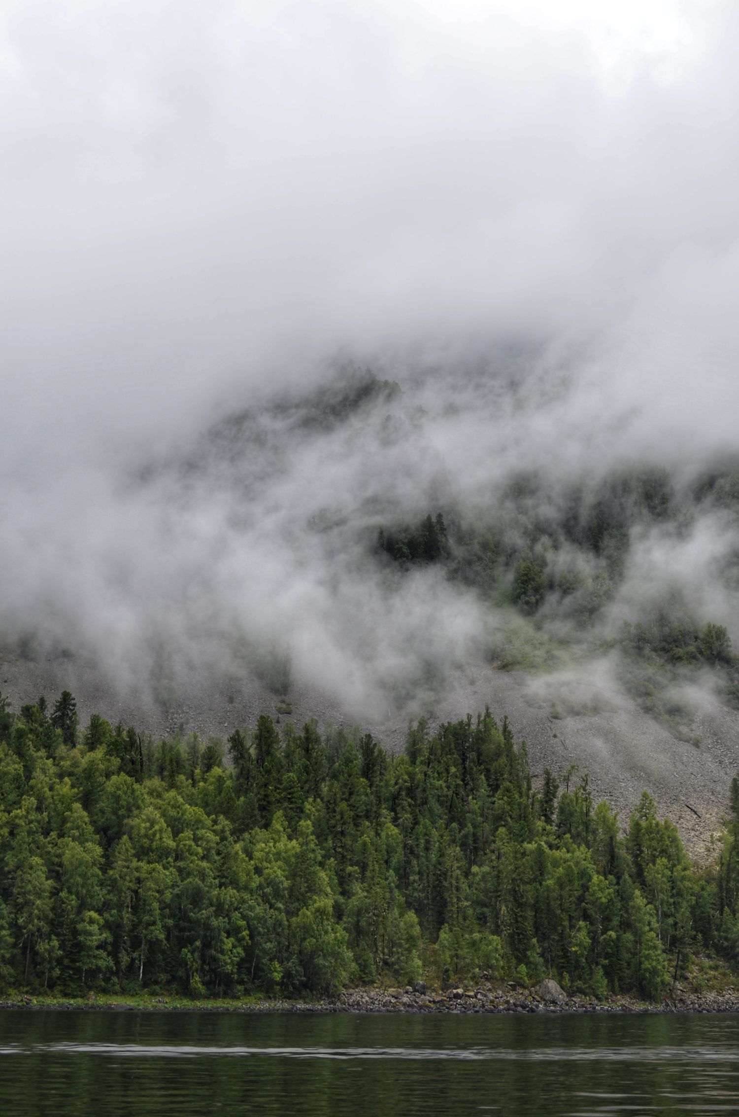 Maggie A. from Sacramento, CA -Women’s Day of Unity 2009