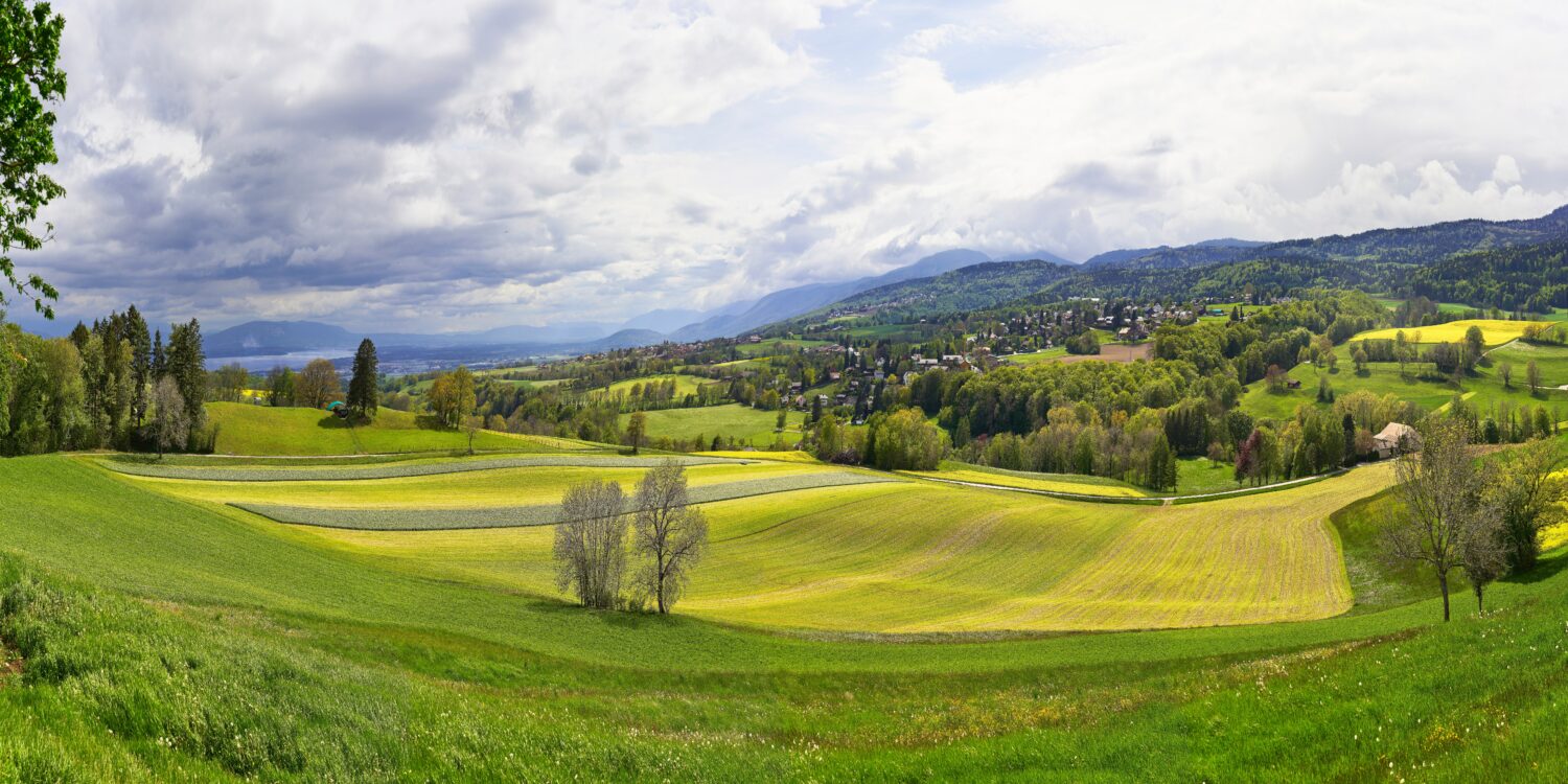 Reading How It Works -Bill W. from Bedford Hills, NY -Little Rock, AR – 1/15/1947