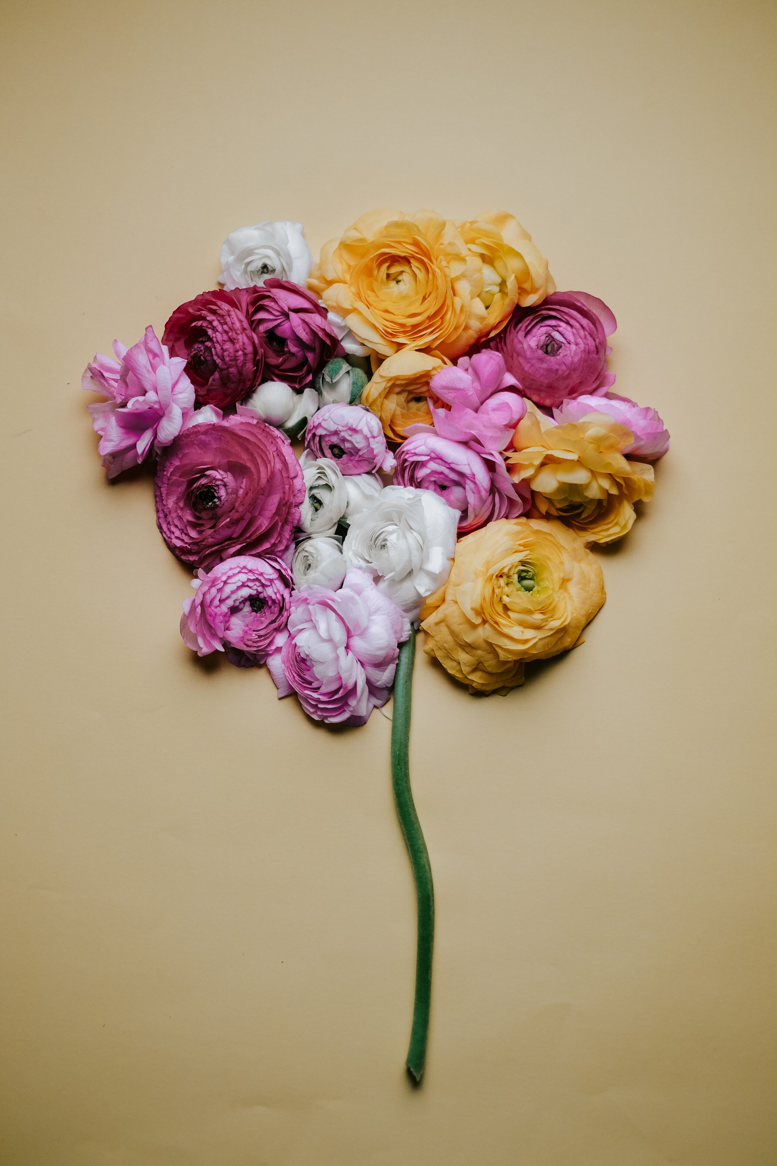 Tami P. from Chatsworth, CA -Inland Empire AA Conference – 10/18/2009