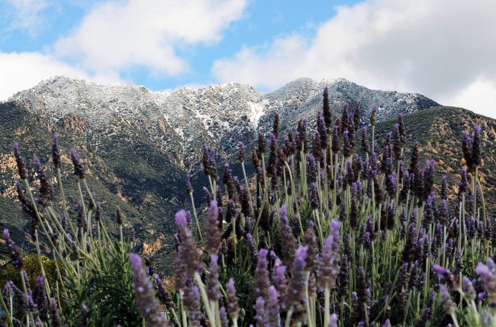 John – Thursday Rose City Speaker Meeting – Pasadena, CA – 09-13-2020