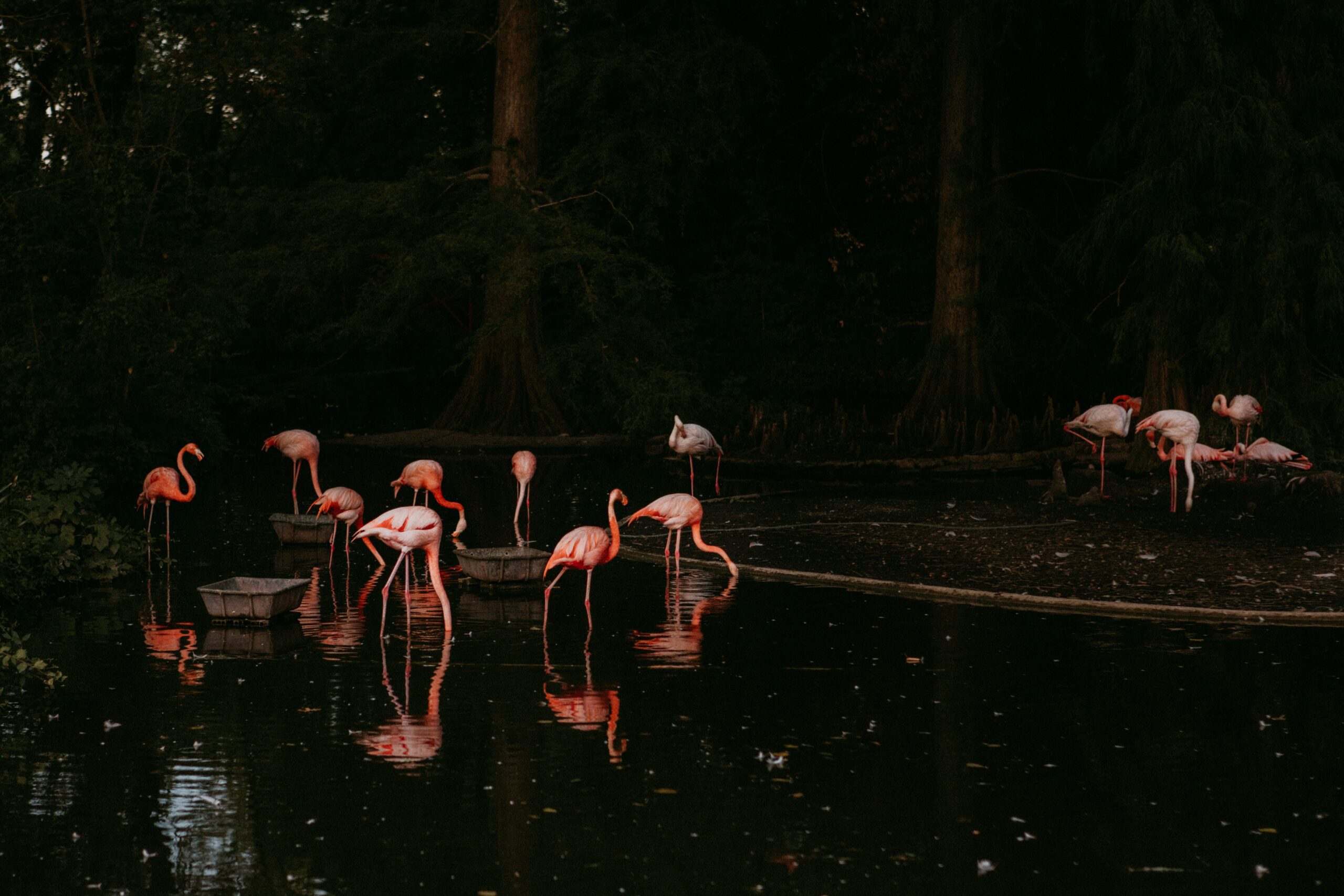 Jane O. from San Francisco, CA -Chico, CA -10/1/1960